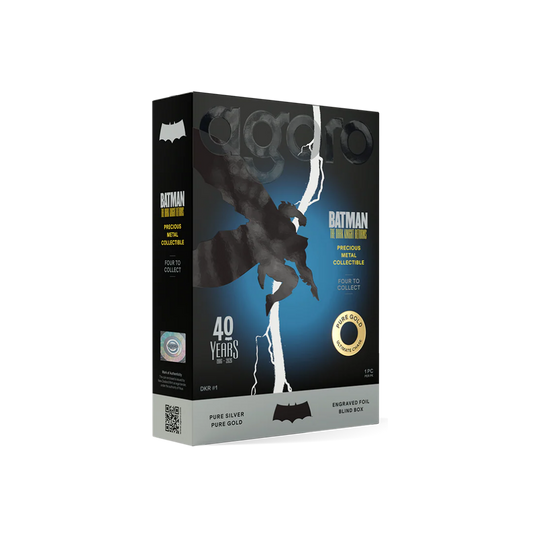 Agoro The Dark Knight Returns Blind Box