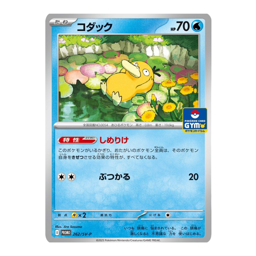 Pokémon Enton (262/SV-P) + Entoron (263/SV-P) Gym Promo Bundle